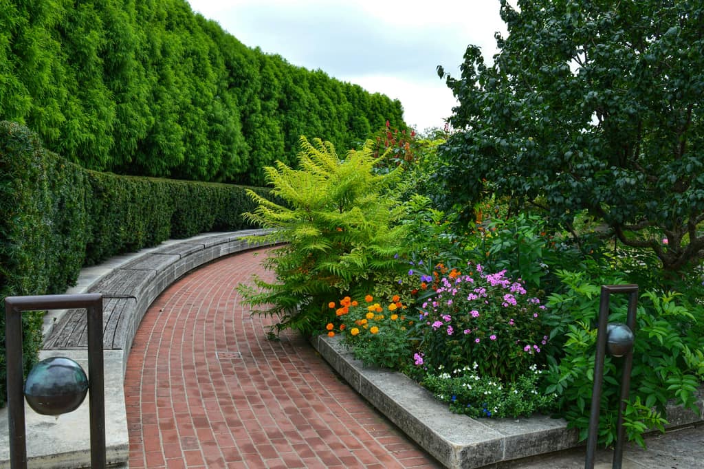 Maintained planting and greenery outside a commercial building entrance.