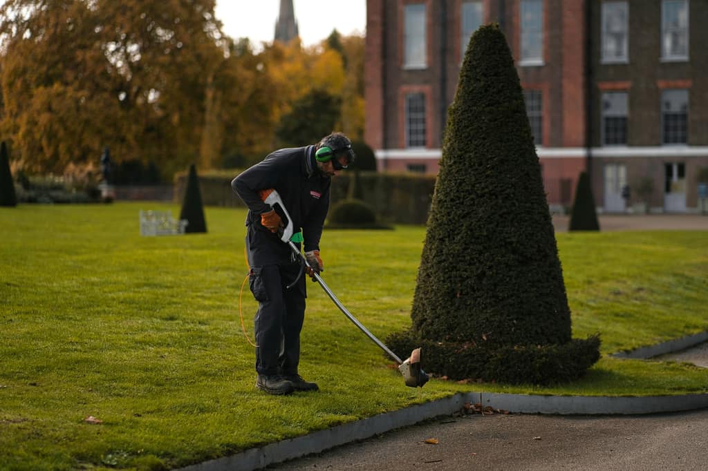 Maintained grounds and planting around a commercial premises.