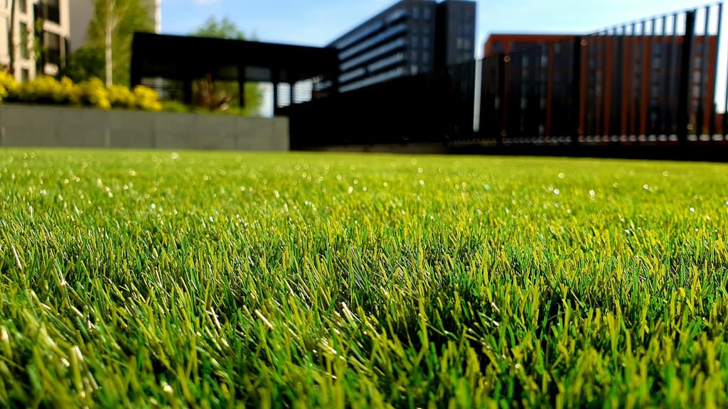A healthy, freshly maintained lawn bordered by planted beds.