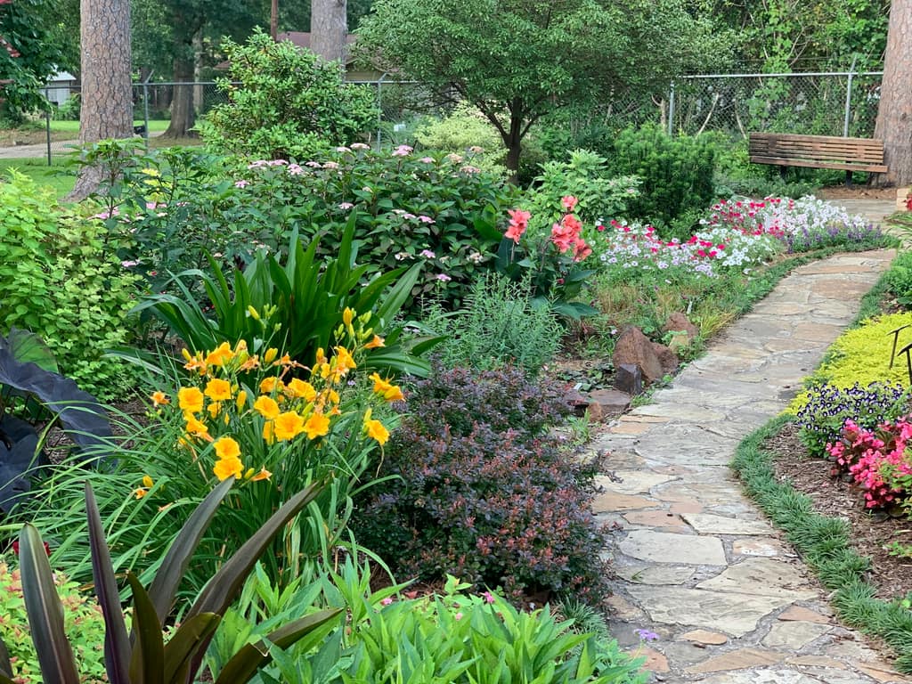 A garden path lined with soft planting leading through green space.