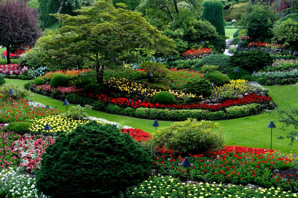 A natural, layered garden landscape with mixed planting and greenery.
