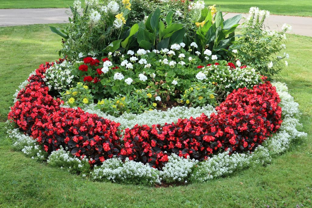 Planted flower beds and borders with mixed seasonal greenery.